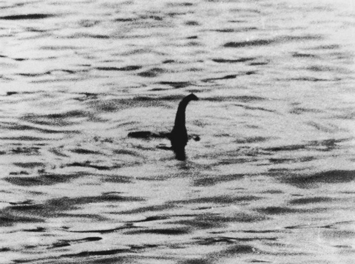 Lochness Monster